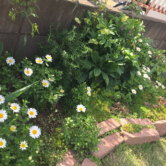 kasさんの実例写真