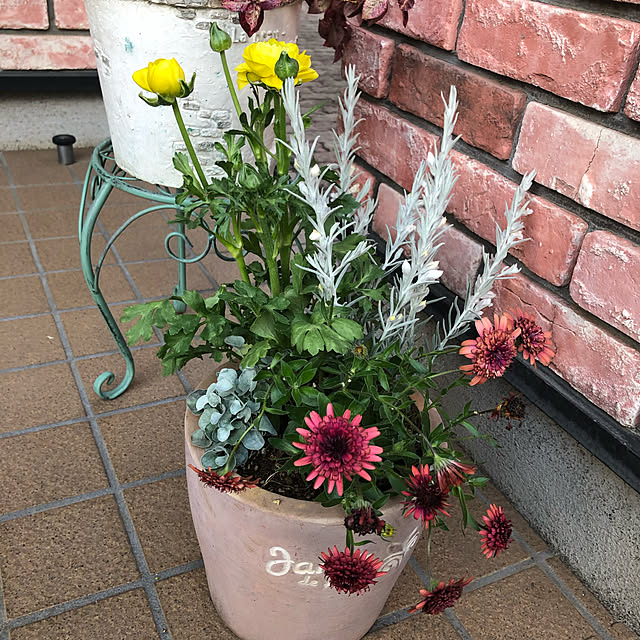 mi-hayaさんの実例写真