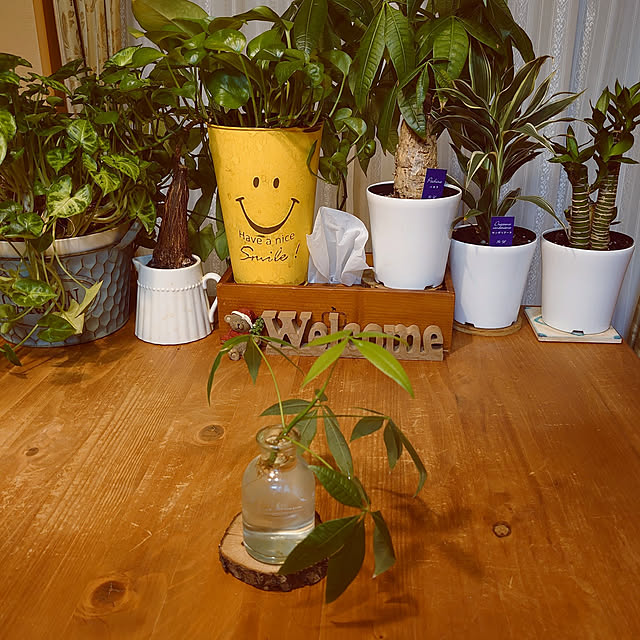 rikachakoさんの実例写真