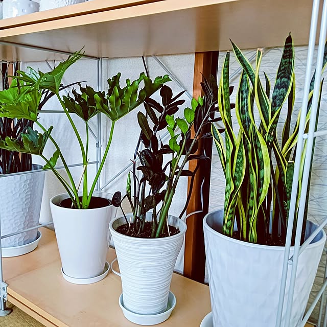 hanachanさんの実例写真