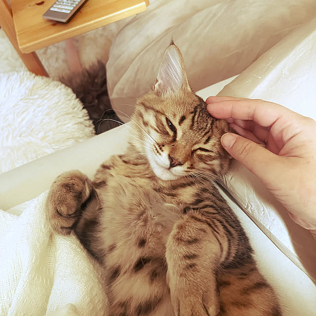 Mさんの部屋