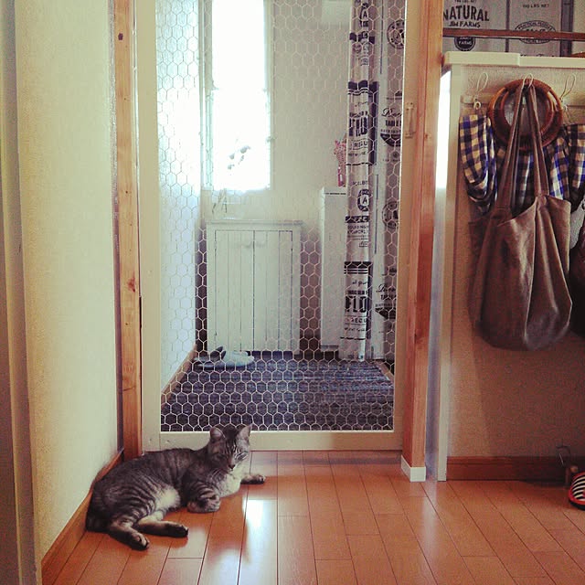 sikaさんの実例写真