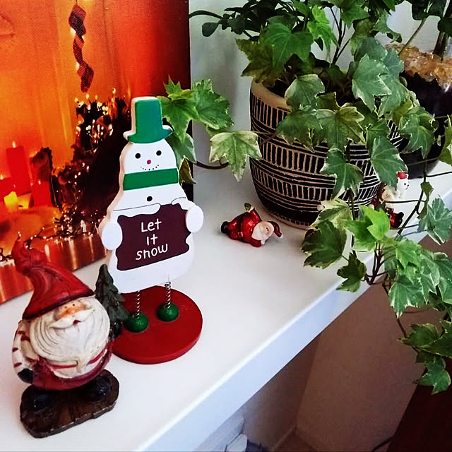 クリスマス/観葉植物/キッチンのインテリア実例 - 2021-12-15 15:48:43