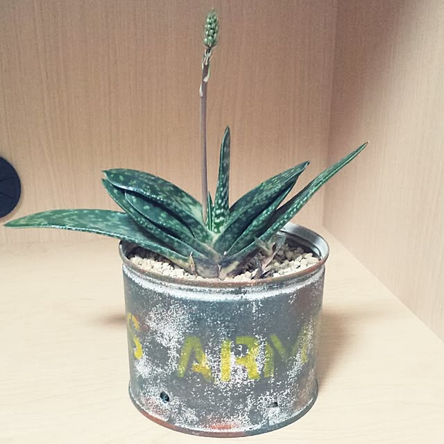 MATILDAさんの実例写真