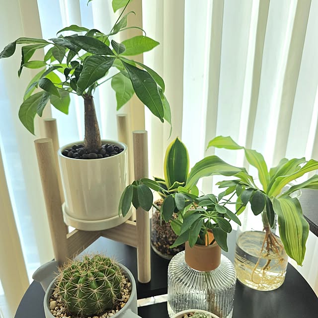 mint_greenさんの実例写真