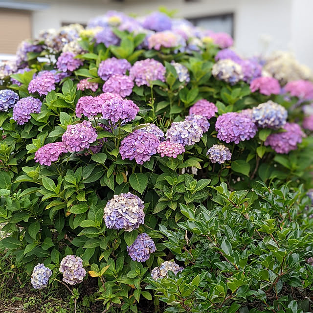 hiroさんの実例写真