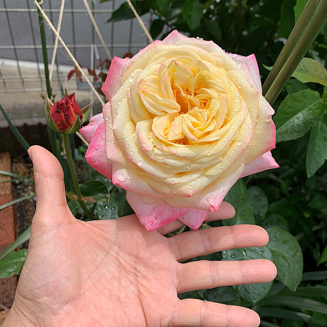 prayer.kさんの部屋