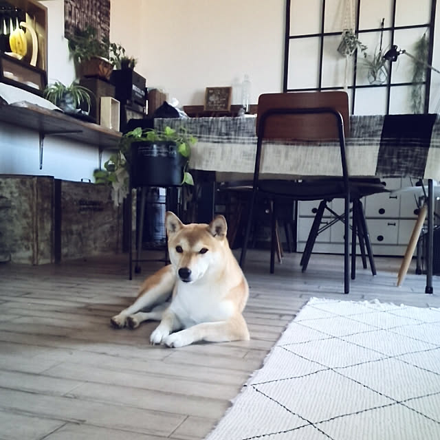 kさんの実例写真