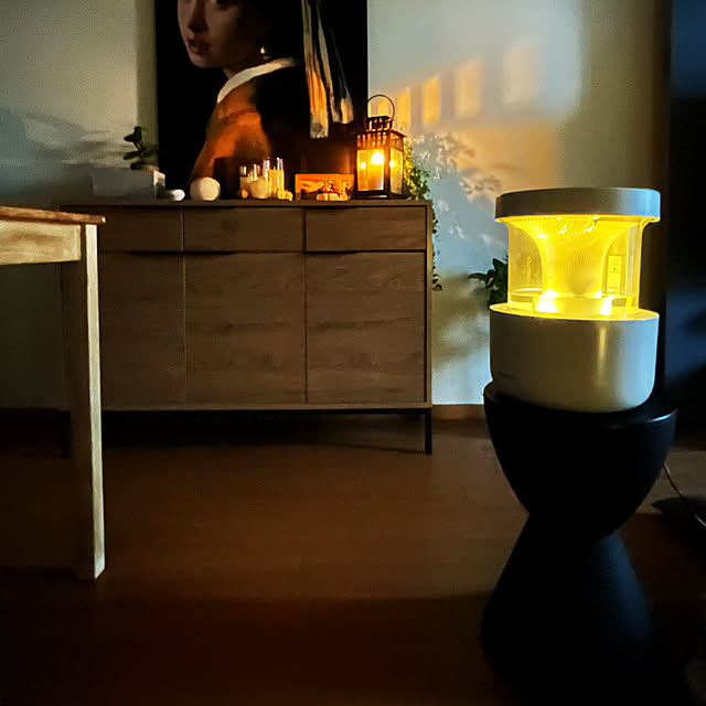 akoさんの実例写真