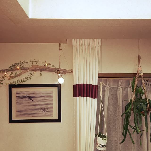 genki8686さんの実例写真