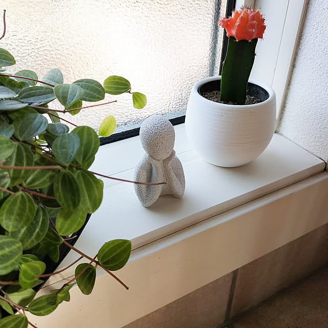 coco0.84.さんの実例写真