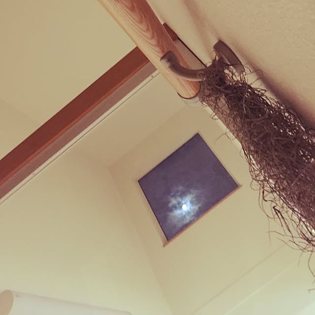 kkさんの実例写真