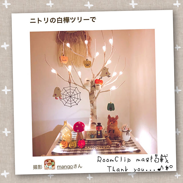 mangoさんの実例写真
