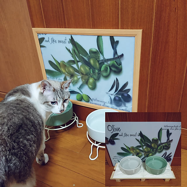 nachiさんの実例写真