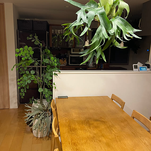 halさんの実例写真