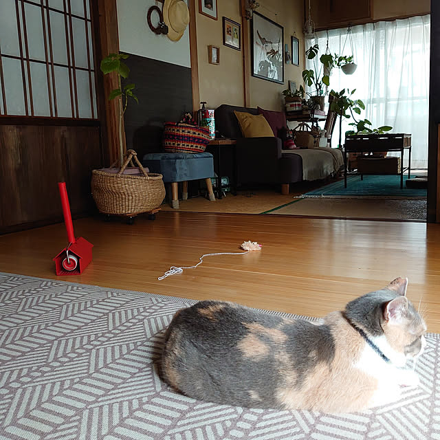 fukuさんの実例写真