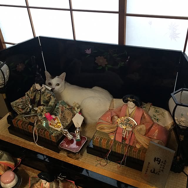 Masamiさんの実例写真