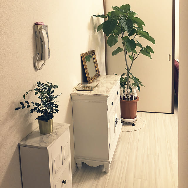 mioさんの実例写真