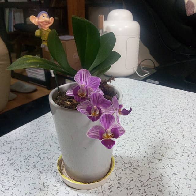 Yoshietanka3492さんの実例写真