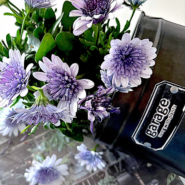 syutmmさんの部屋