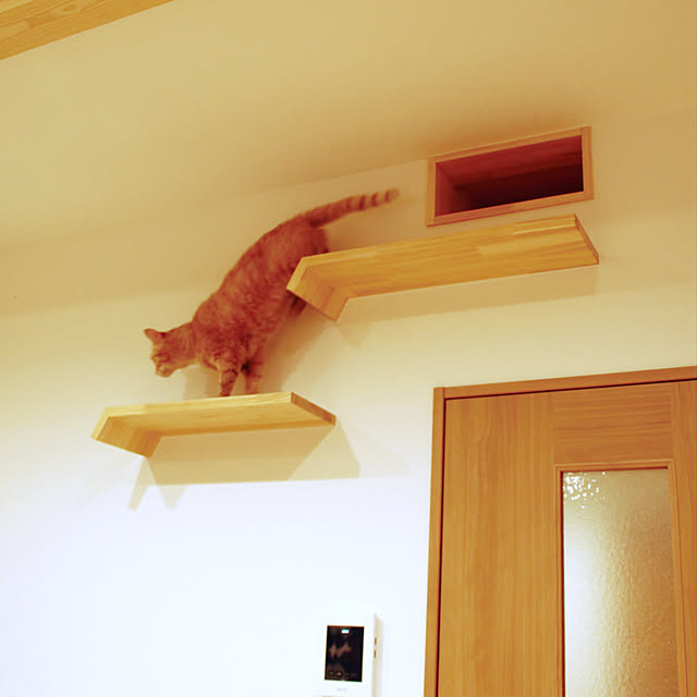 kimuchiさんの実例写真