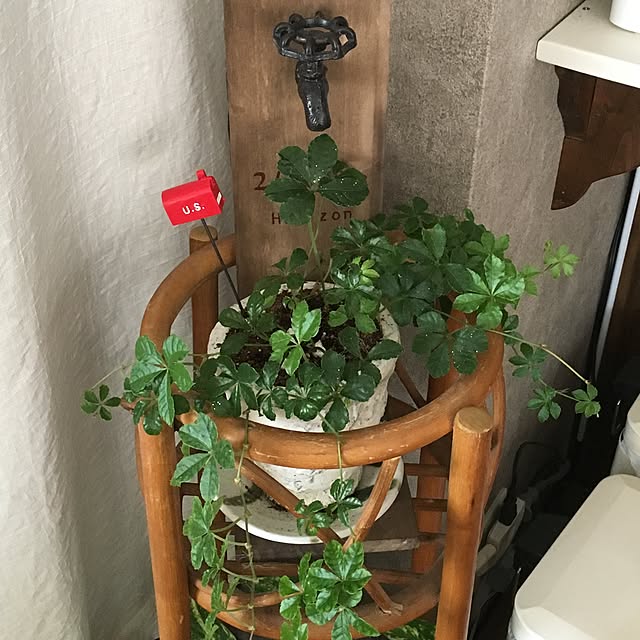 yumirilさんの実例写真