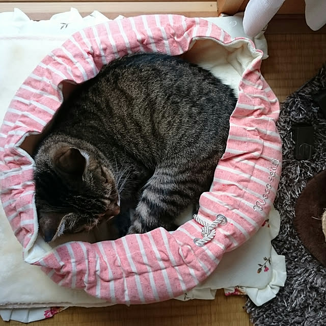 lilyさんの実例写真