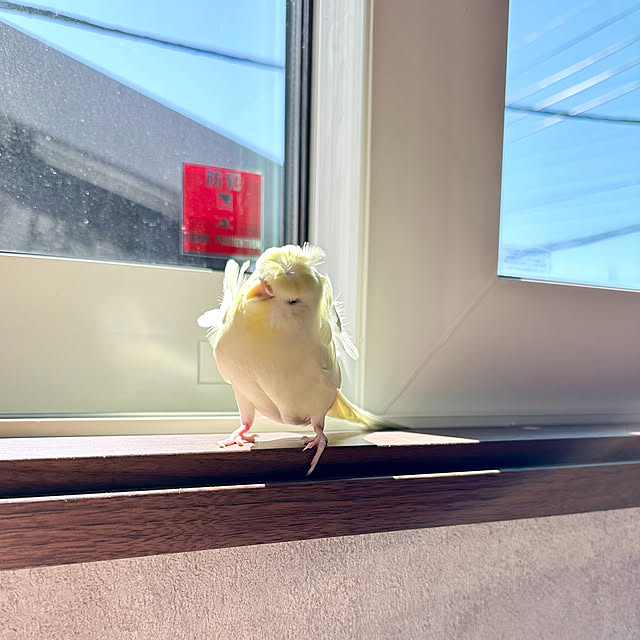 mitsukiさんの部屋