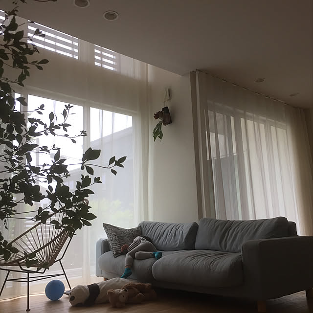 a.n.さんの実例写真