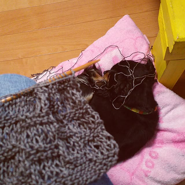 jackieさんの実例写真