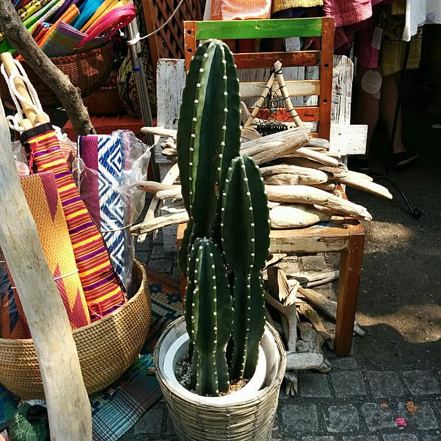 miwaさんの実例写真
