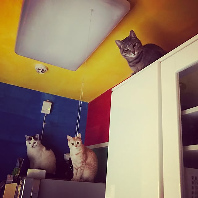 atelier-mossoさんの実例写真