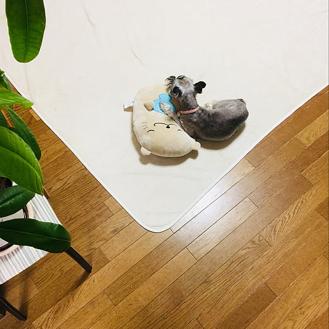 me_sweetさんの実例写真