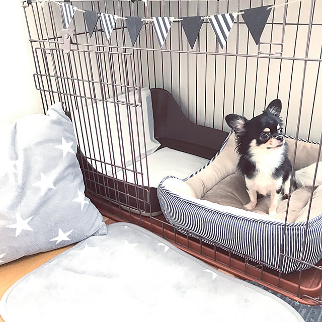 eriさんの実例写真
