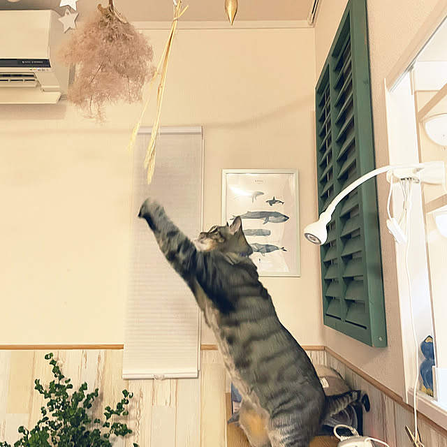 t-famさんの部屋