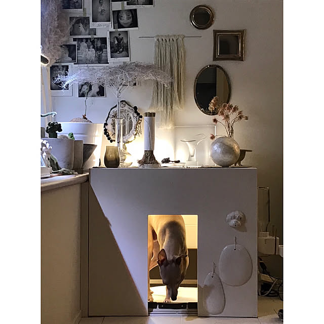 sot1127さんの実例写真