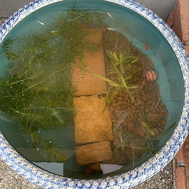 mama_sanさんの実例写真
