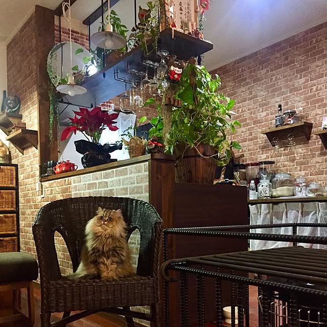 butachanさんの実例写真
