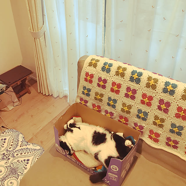 miho.clipさんの実例写真