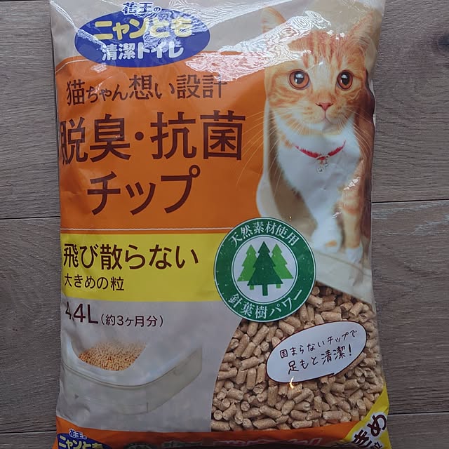 Blackcatさんの部屋
