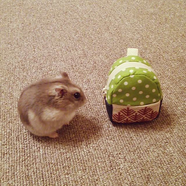 miwa14さんの実例写真