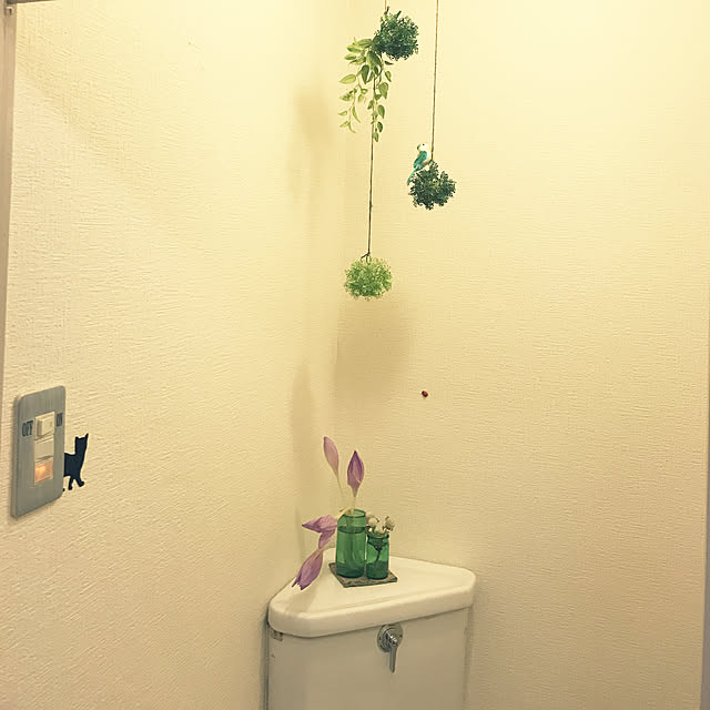 tanumaさんの実例写真