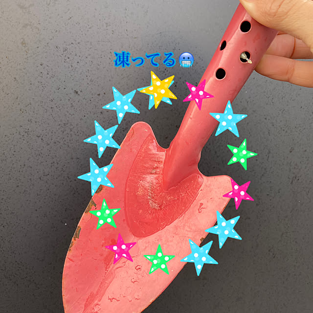 manduonmaさんの実例写真