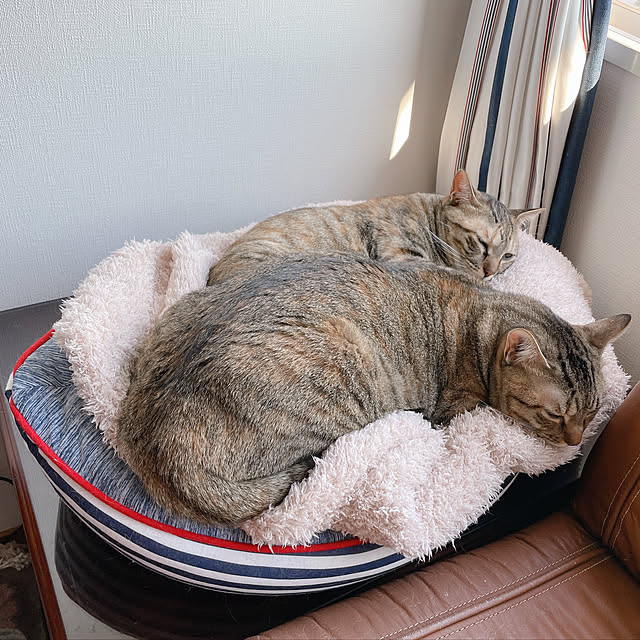 Sunflower555さんの実例写真