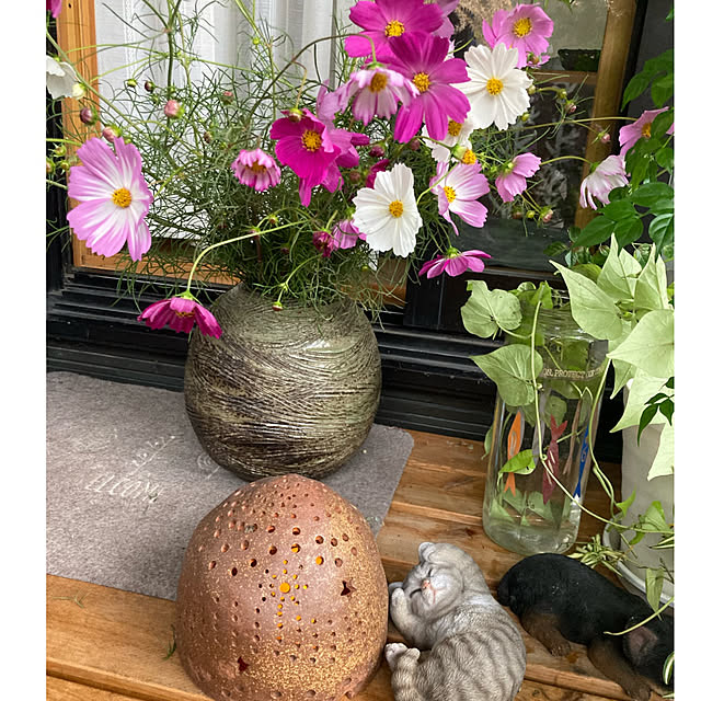 CoCo0617さんの実例写真