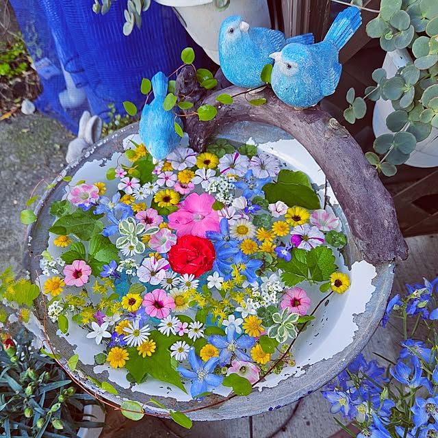 mocomocoさんの実例写真