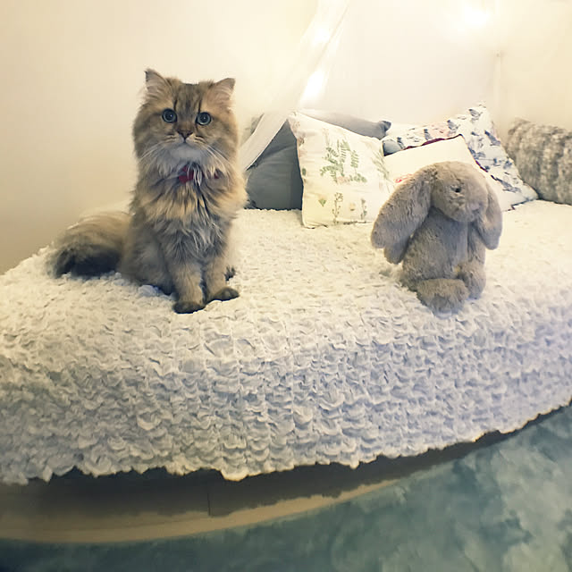 753さんの実例写真