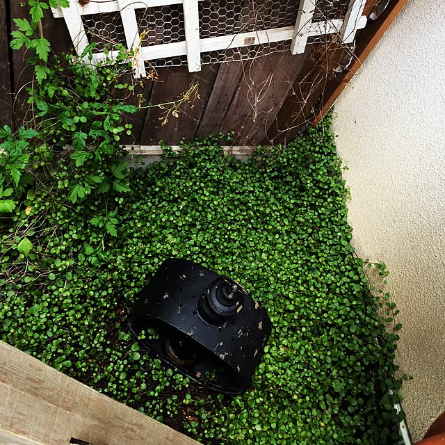 risoriso_houseさんの実例写真