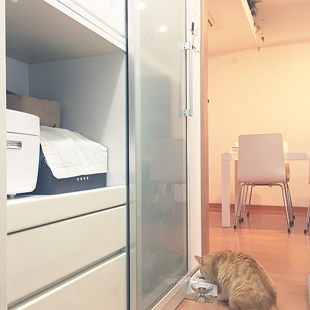 Ryokoさんの実例写真