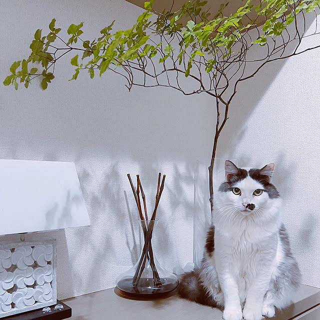 oyamafamily621さんの実例写真